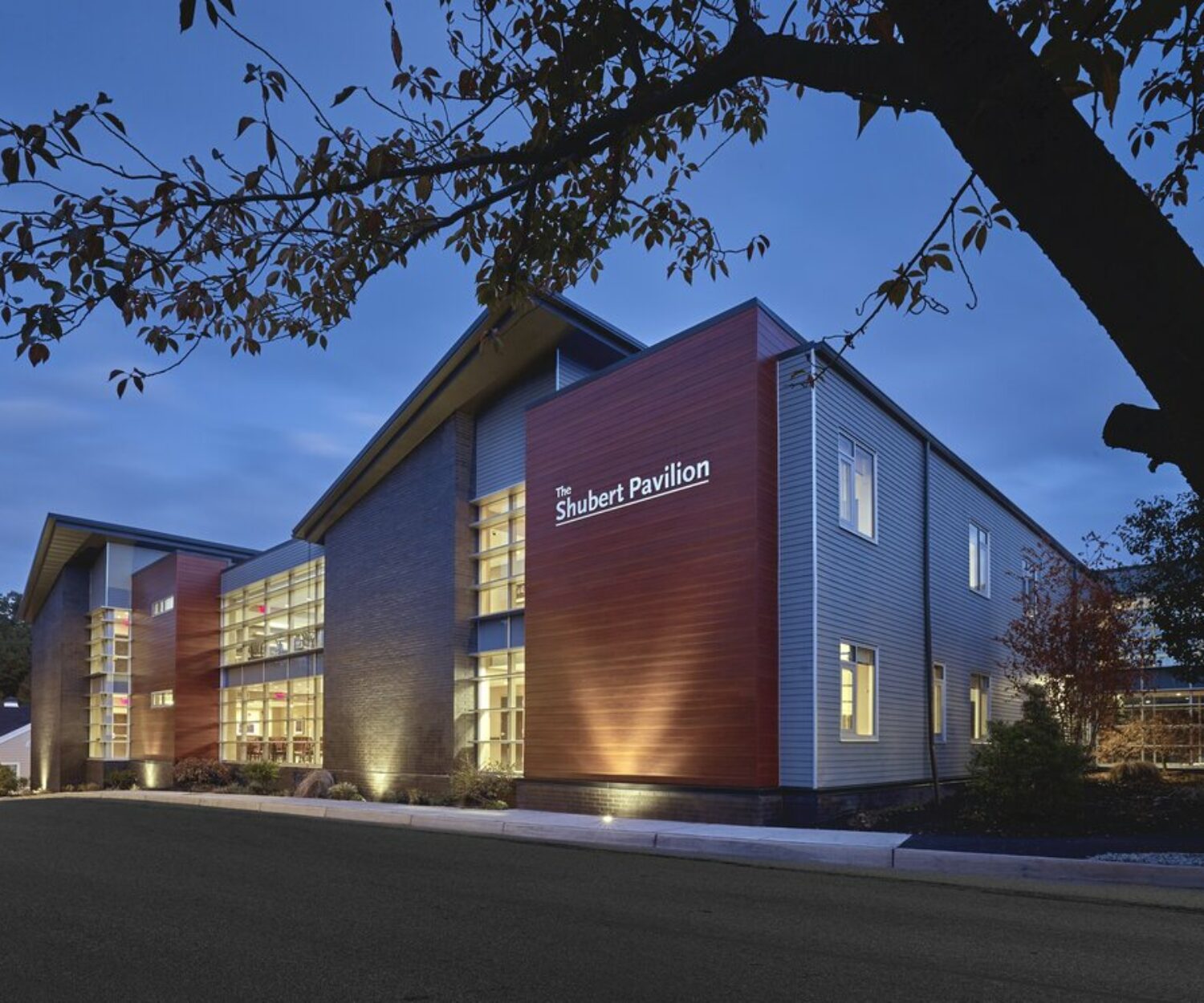 longboard wood grain panels